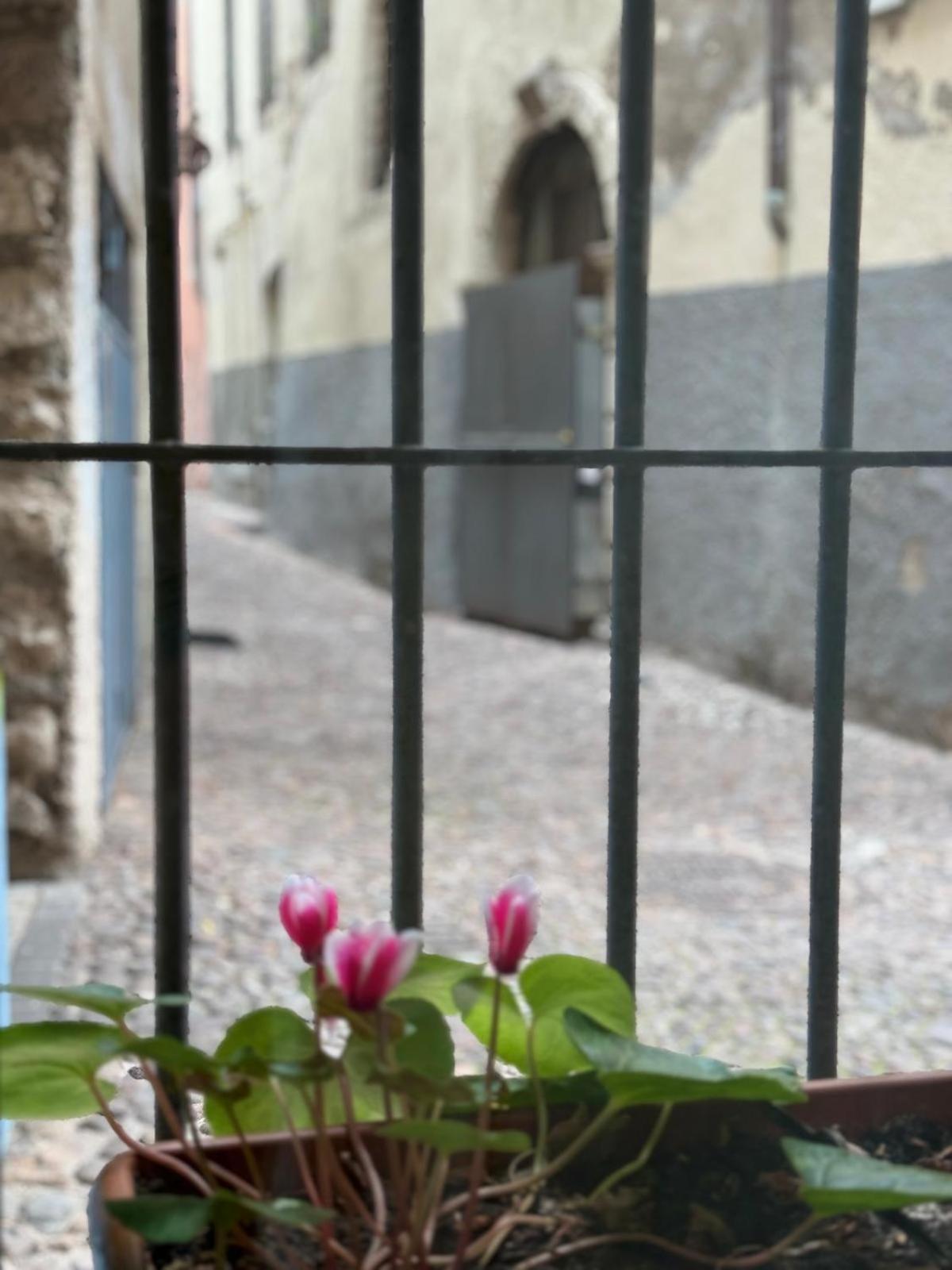 Duomo Nest Entire Apartment Тренто Екстериор снимка